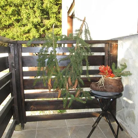 Cioplea Residenz Apartment Predeal